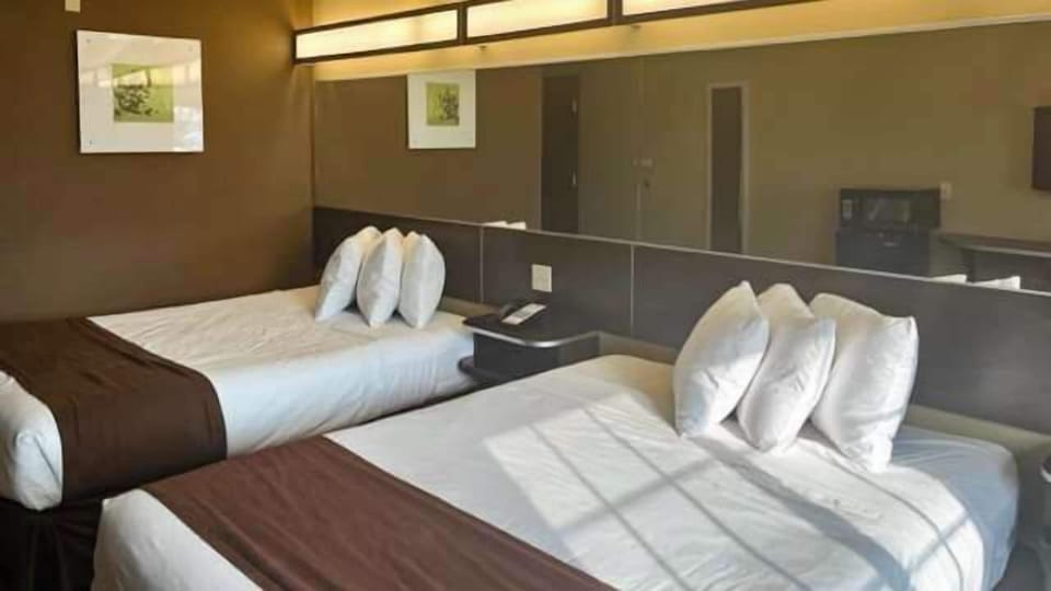 Desk, WiFi (free), bed sheets
