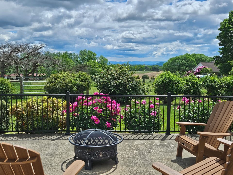 Early Summer view with bright pink peonies and vibrant blue mountain views!