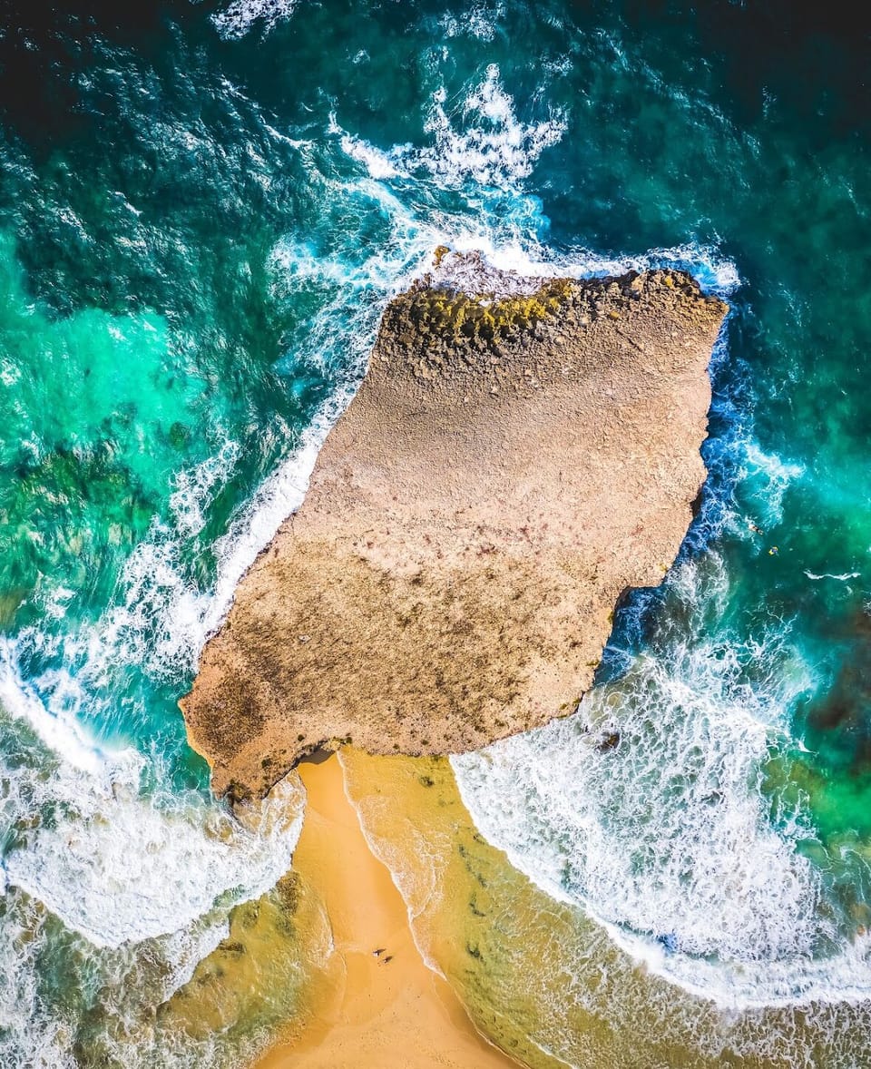 IMG 1404