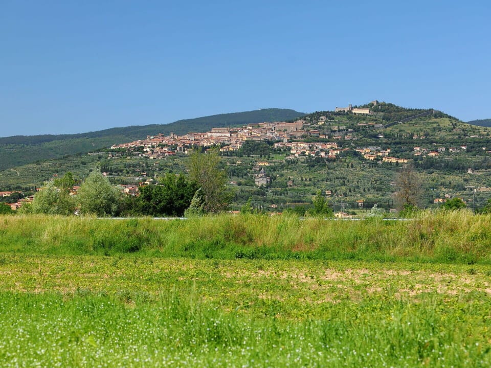 Grassland, Pasture, Natural Landscape, Hill, Meadow, Vegetation, Natural Environment, Land Lot, Prairie, Grass
