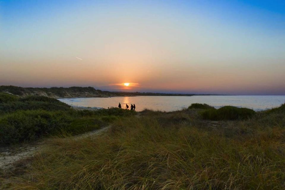 Region [summer] (>5 km)