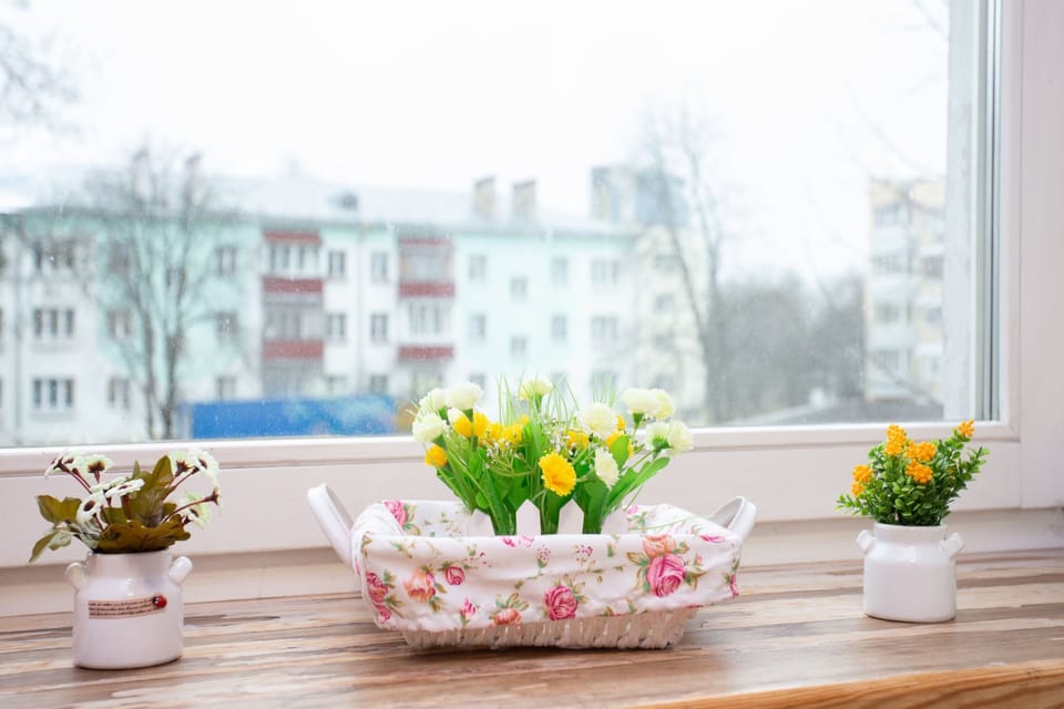 Classic Apartment | View from room