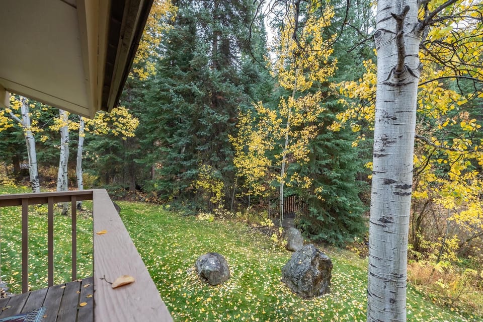 Patio View