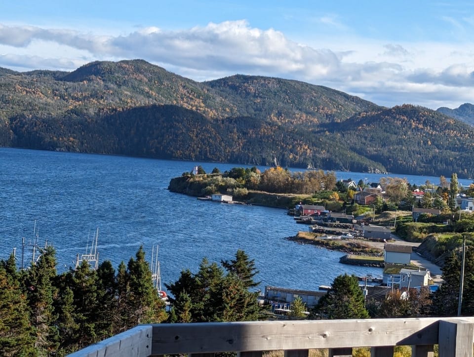 View of Woody Point from deck.
