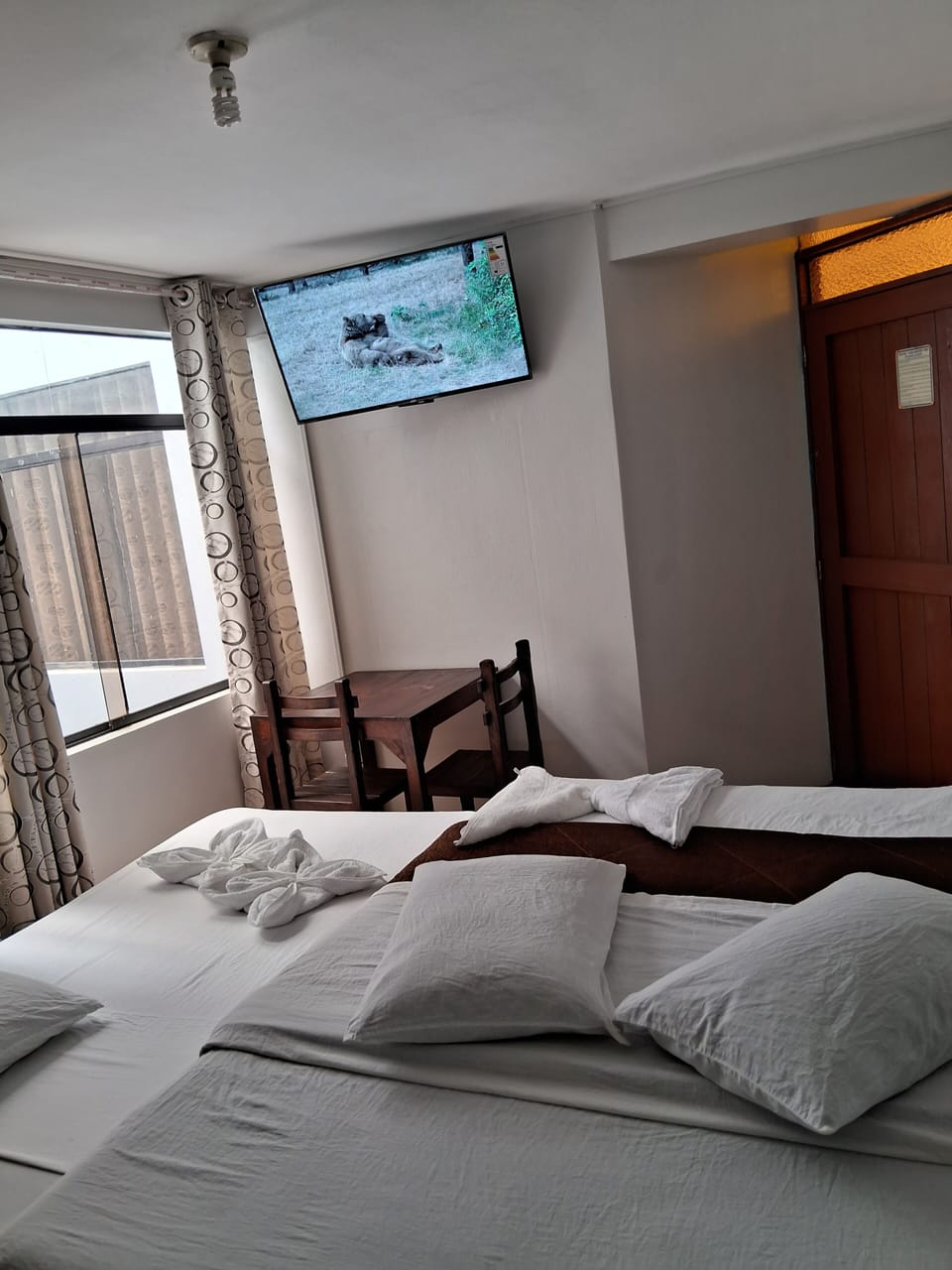 Panoramic Single Room, 1 Queen Bed | Desk, free WiFi