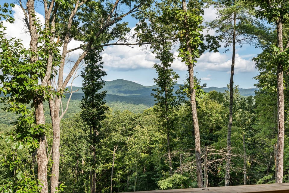Escape to mountain views and peaceful forest surroundings.