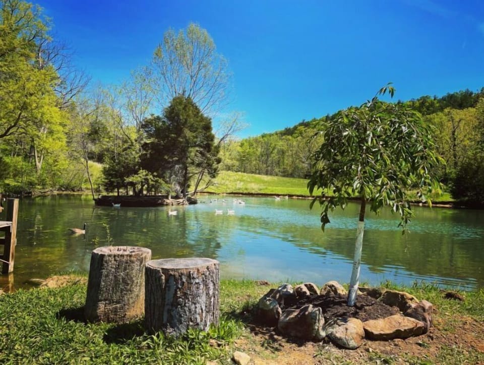Fishing Pond