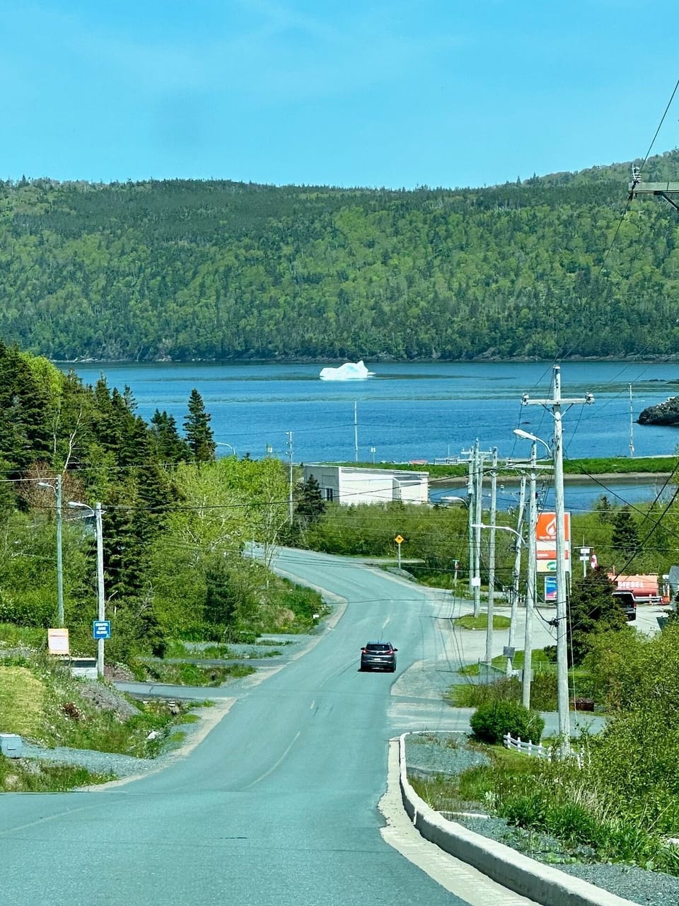 An iceberg that drifted from Norman's Cove into nearby Chapel Arm