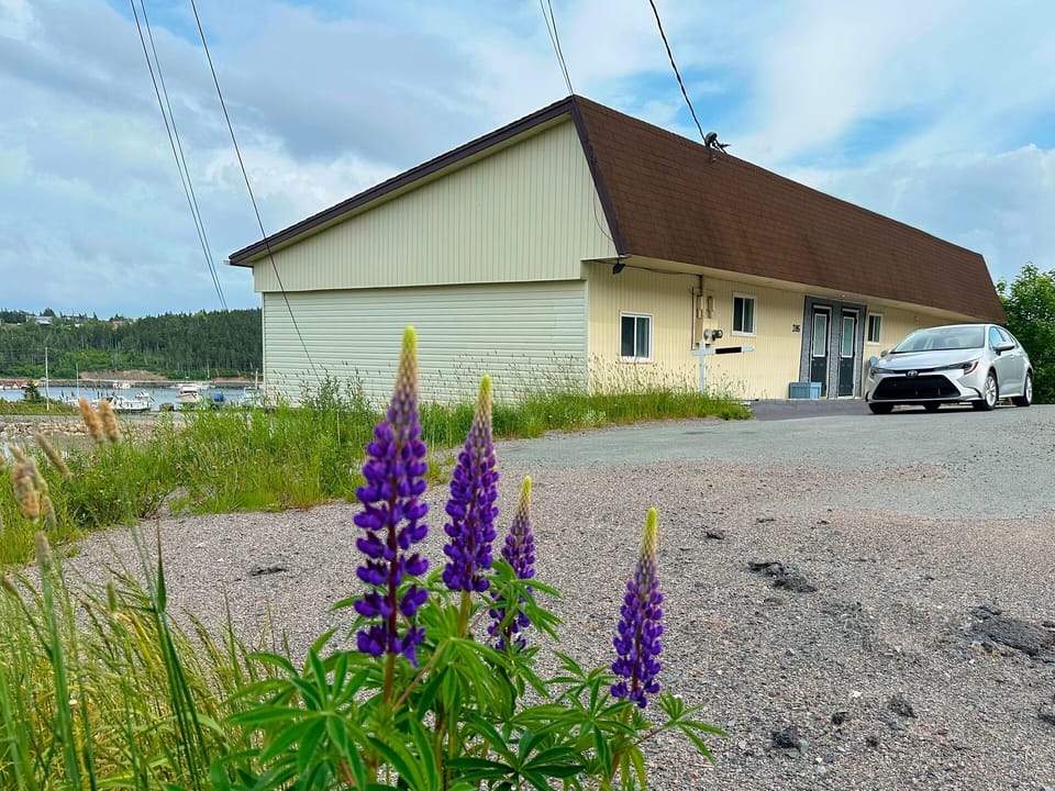 The front of the house in summer. Ample parking for multiple cars is available in front.