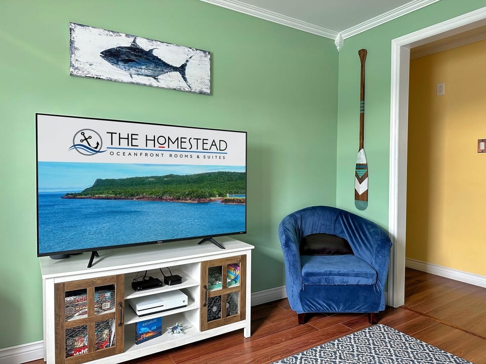 Starboard suite living room with 55" 4K HDTV and huge movie/TV library