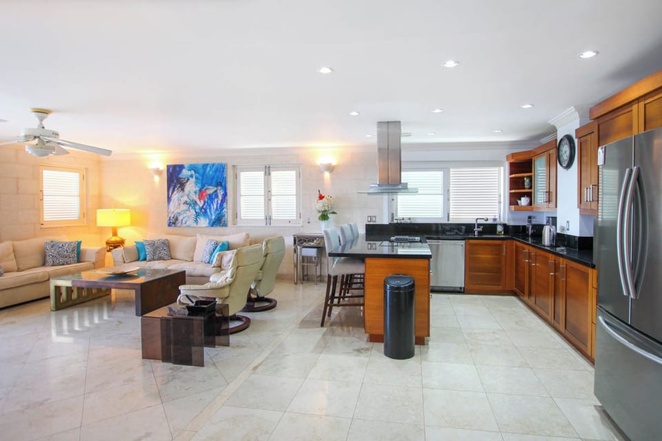 View of the living and kitchen area
