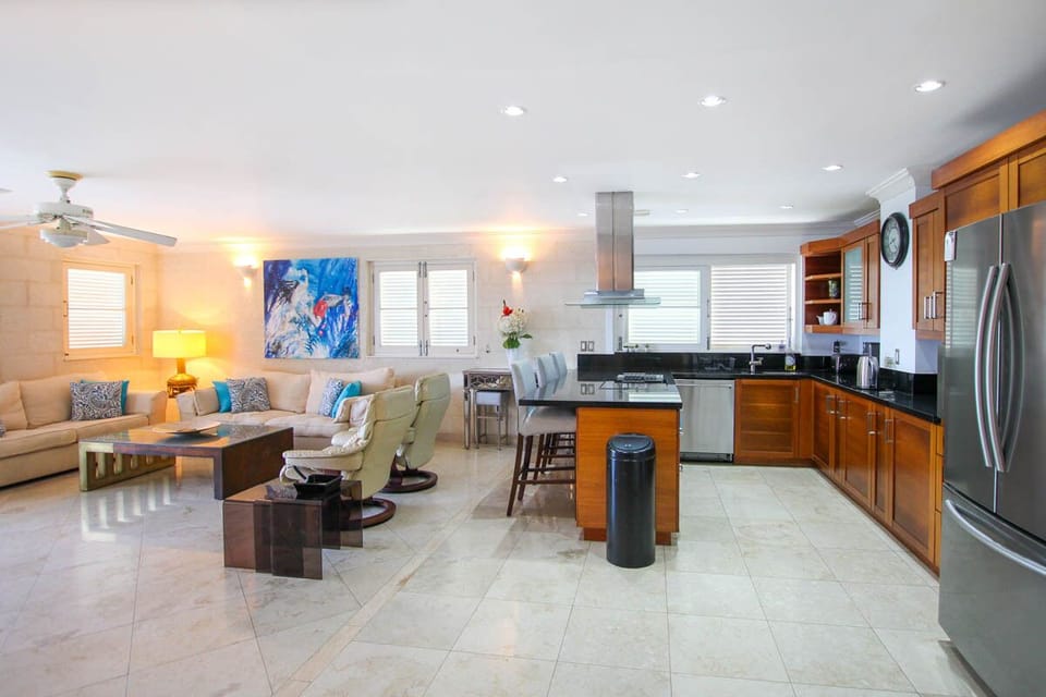 View of the living and kitchen area