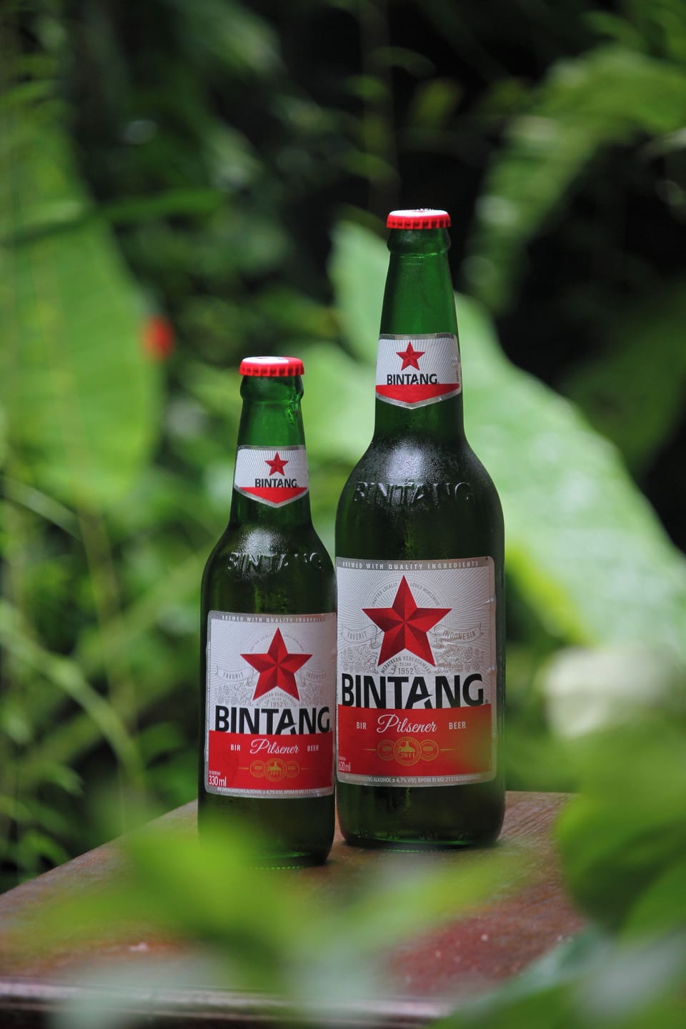 Sari Gong Guest House, A Trishula Collection Bed and Breakfast in Ubud