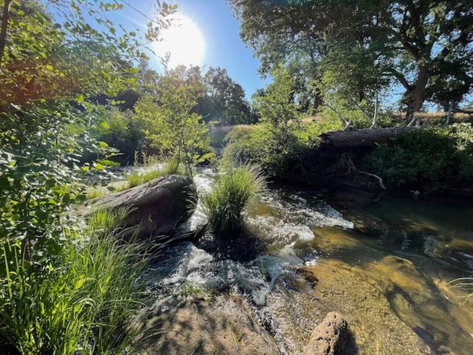 Creek access