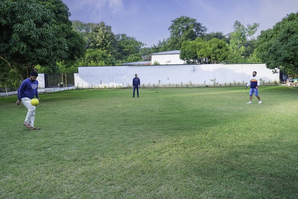 Garden