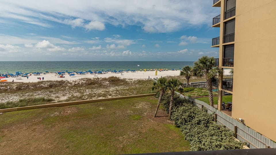 Enjoy a serene view of the beach with vibrant umbrellas and golden sand, framed by swaying palm trees and lush greenery