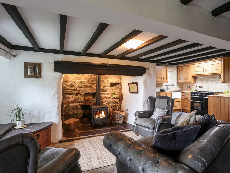 Flat-screen TV, fireplace, DVD player