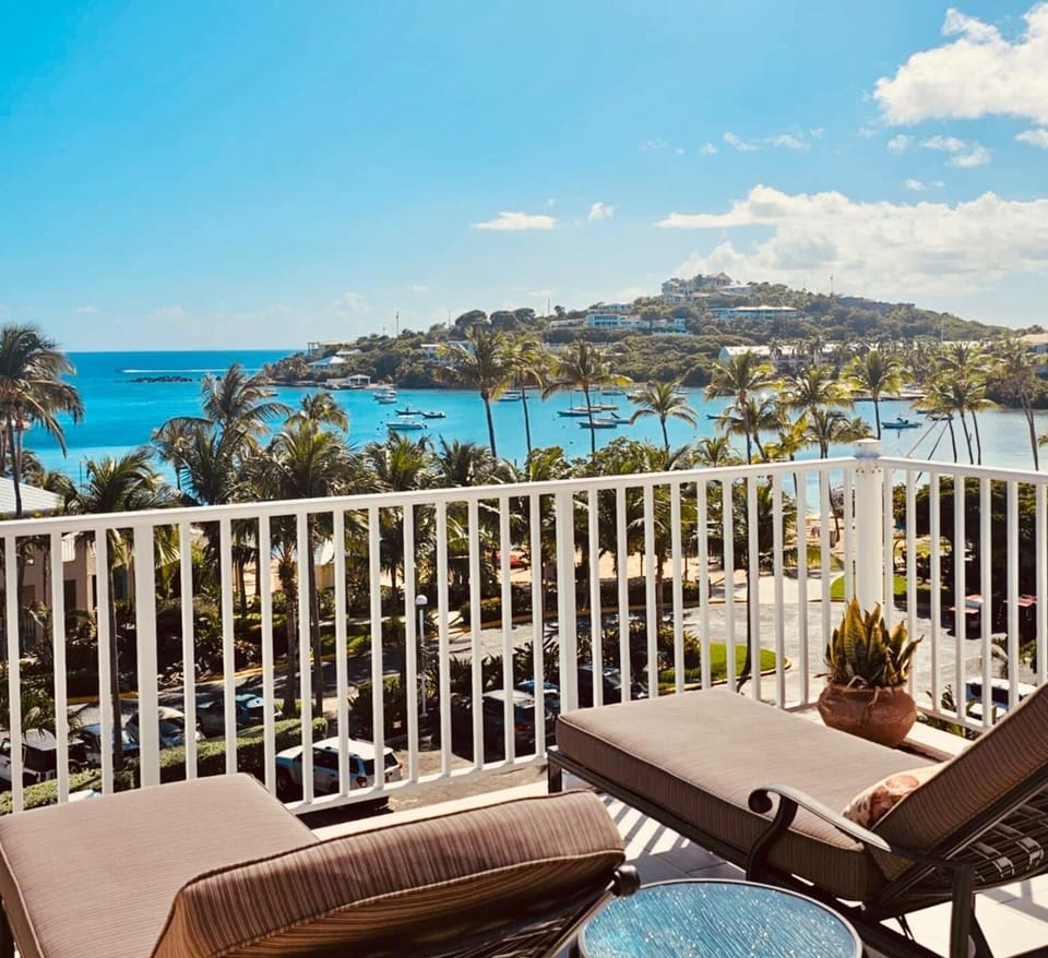 Rooftop Patio View for Sun Soaking and Star Gazing!