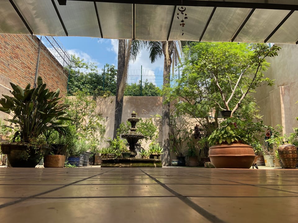 Terrace and garden view