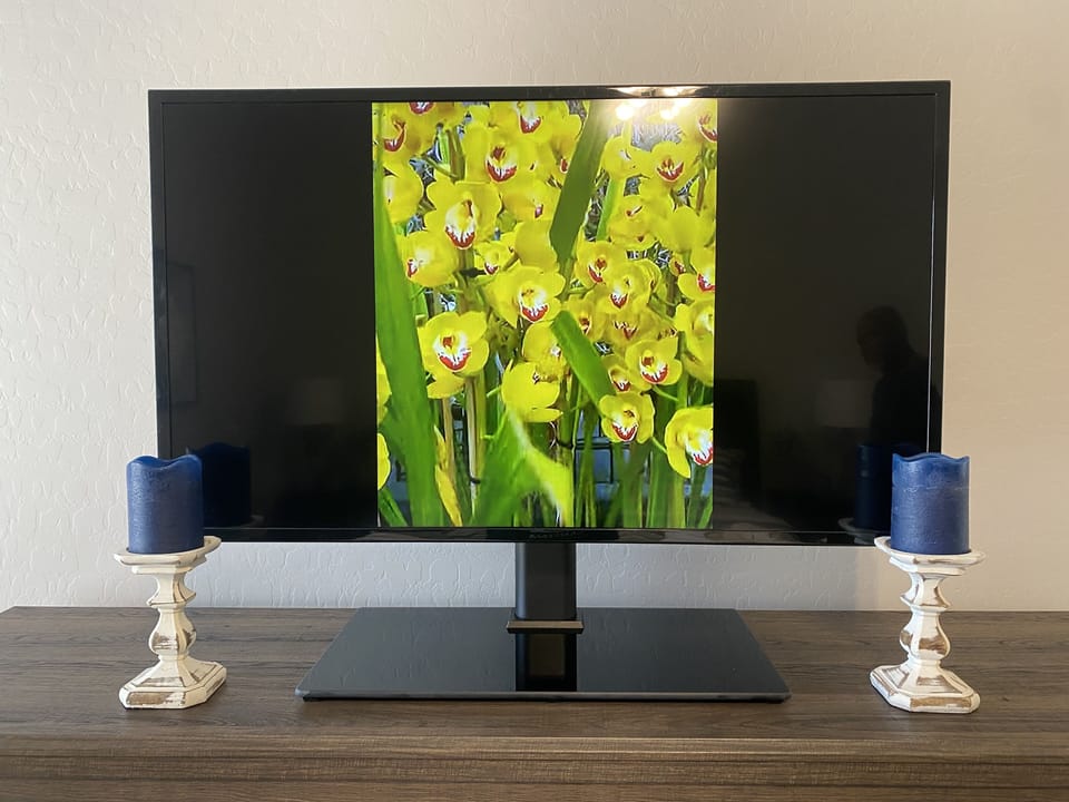 Television