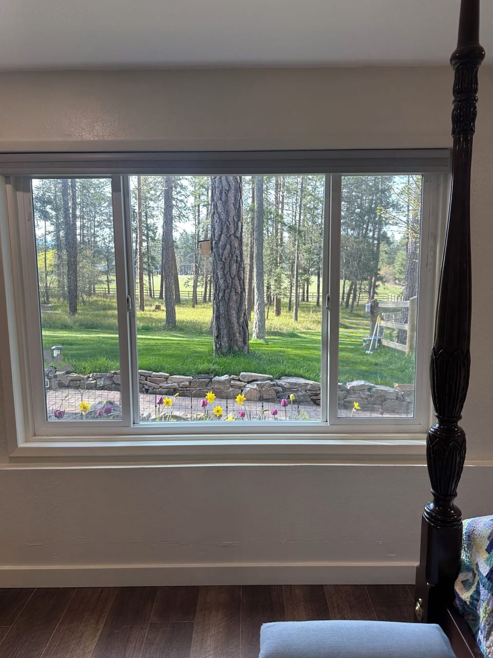 Wake up to this each morning. Windows open.
