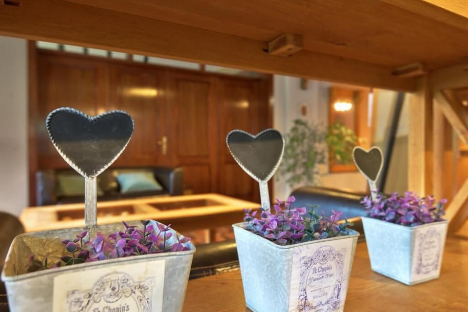 Casa Muntelui Bed and Breakfast in Brașov County