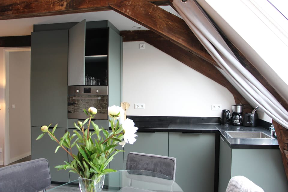Fully equipped kitchen with combi oven, dishwasher, induction hob, freezer