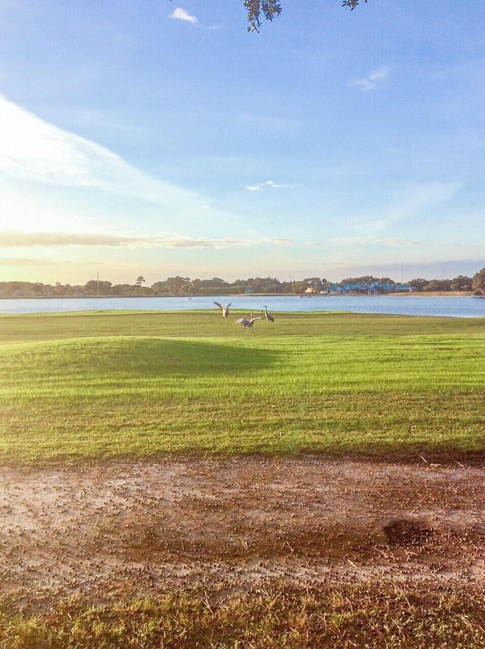Grab Your Clubs!