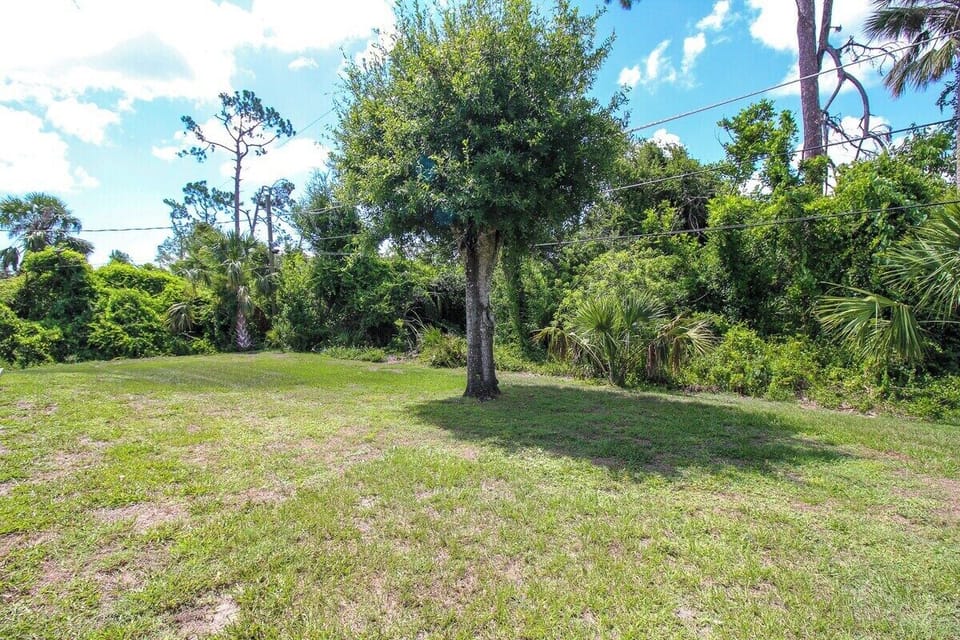Large Backyard
