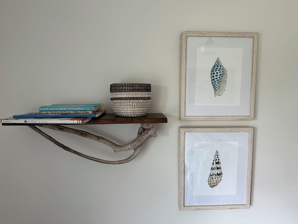 Shells and shell books