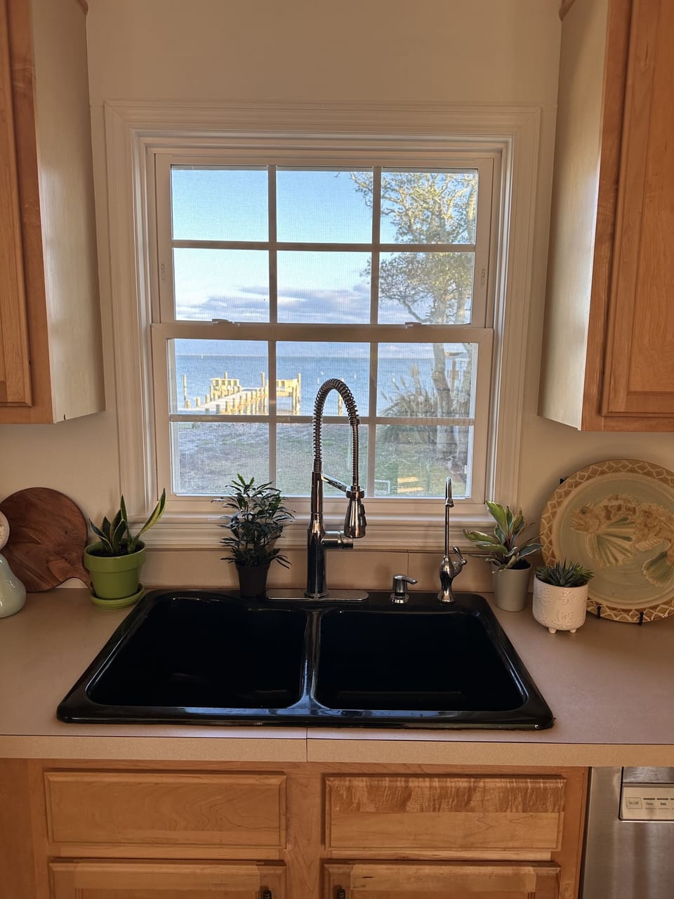 View from kitchen.