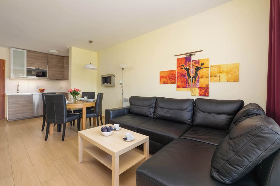 Spacious living room with full equipment. 