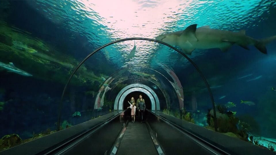 SeaWorld thrills, just 5 mins away! Dive into fun, conveniently close.