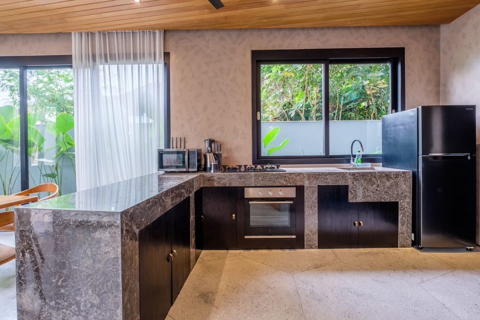 Deluxe Villa | Private kitchen | Fridge, microwave, stovetop, electric kettle