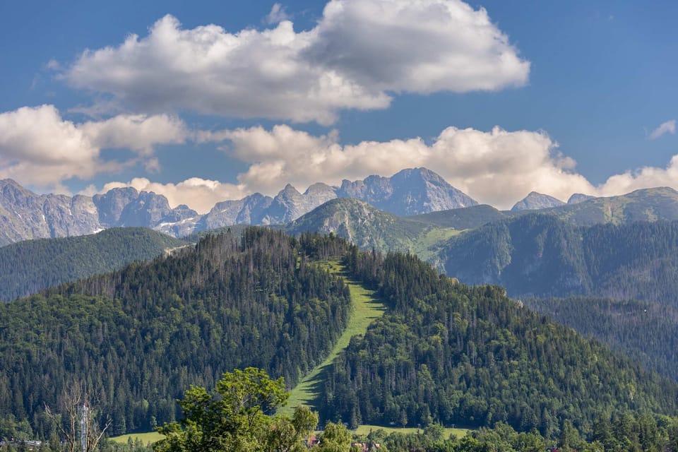 A stunning mountain view under a clear blue sky, with a green valley and forested areas below.
