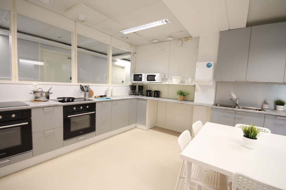 Basic Triple Room | Private kitchen | Mini-fridge, microwave, coffee/tea maker, electric kettle