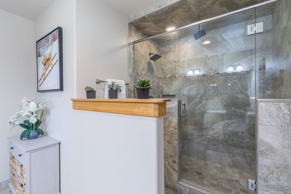 The main bedroom's bathroom with walk-in shower.