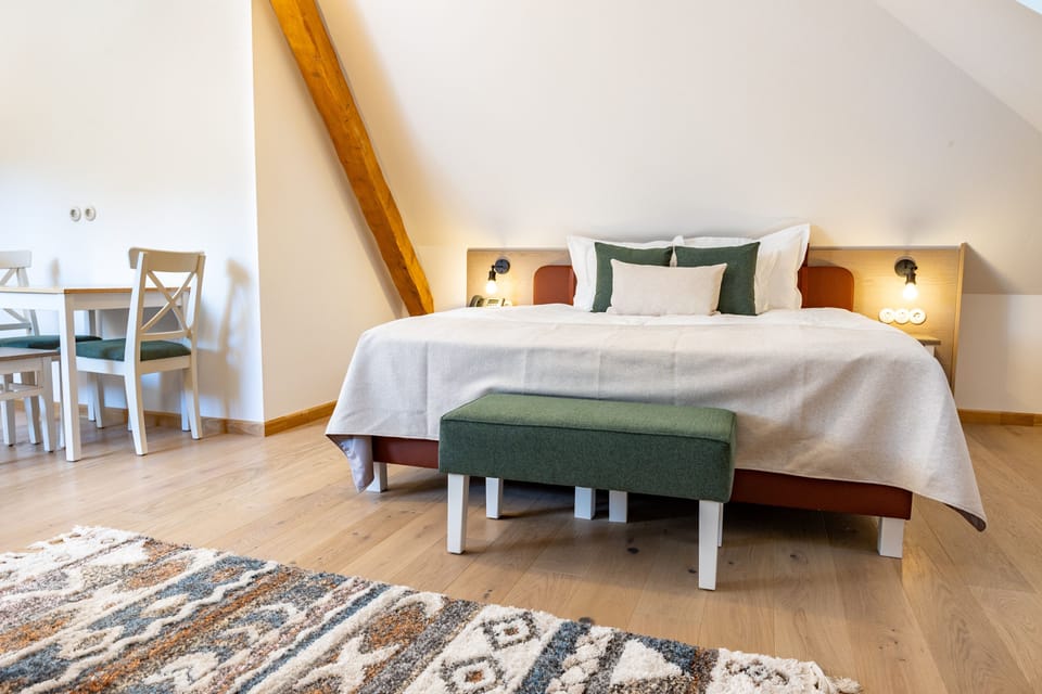 Superior Room | 1 bedroom, in-room safe, soundproofing, WiFi (free)