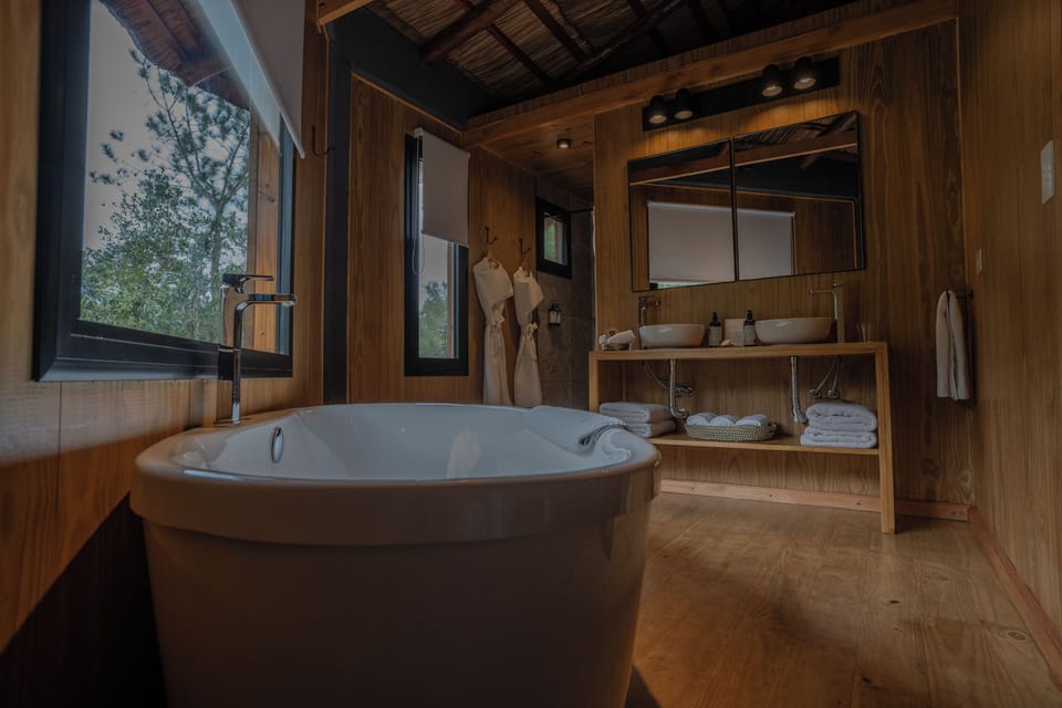 Suite Premium | Bathroom | Shower, rainfall showerhead, free toiletries, hair dryer