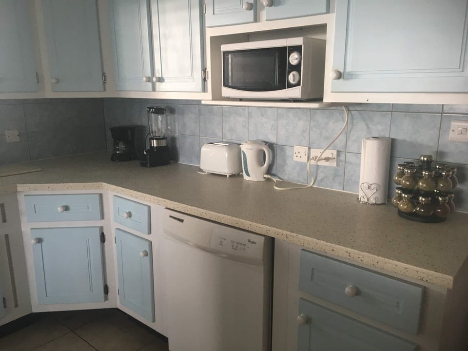 Bright kitchen with all necessary appliances and amenities