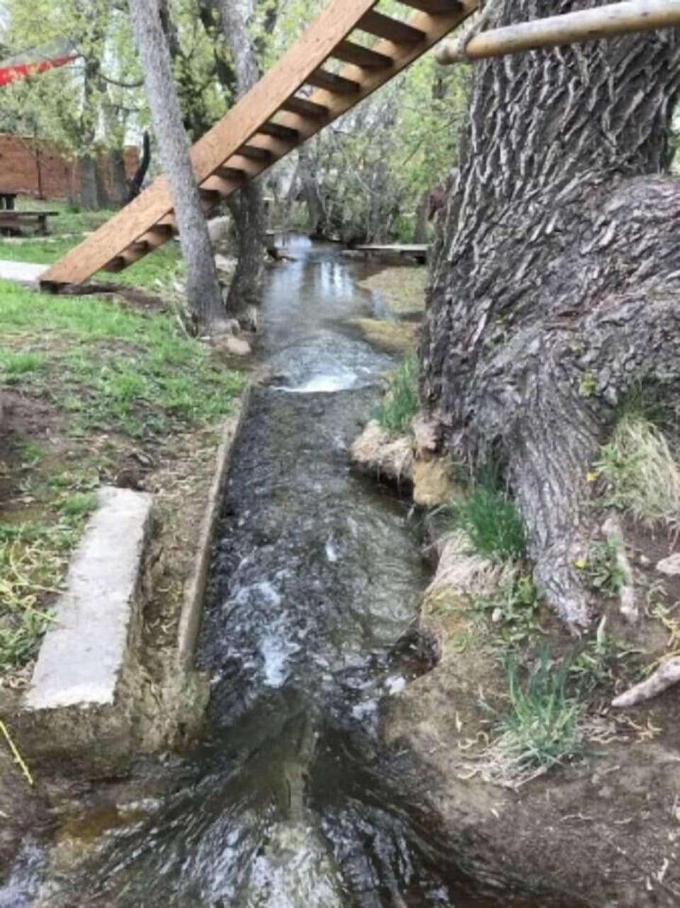 Small creek - summer months only
