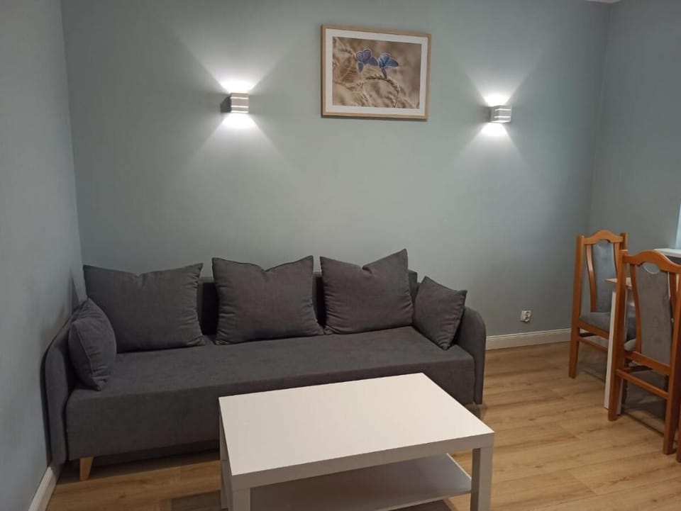 Basic Apartment | 1 bedroom, free WiFi, bed sheets