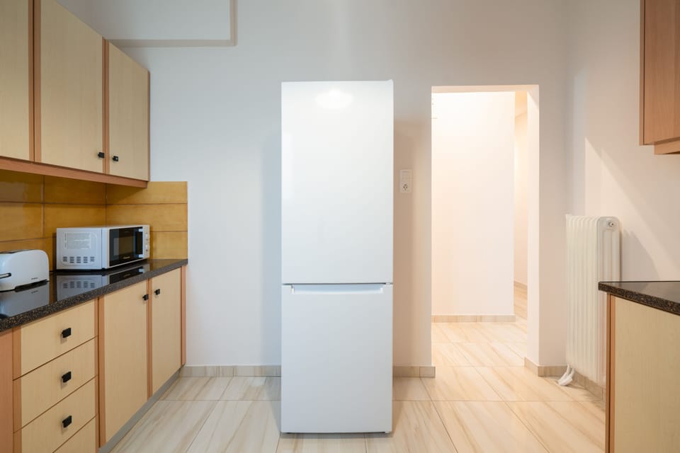 Luxury Apartment | Private kitchen | Fridge, microwave, oven, stovetop