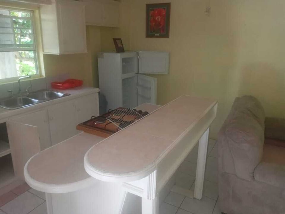 Basic Apartment | Private kitchen | Fridge, microwave, paper towels