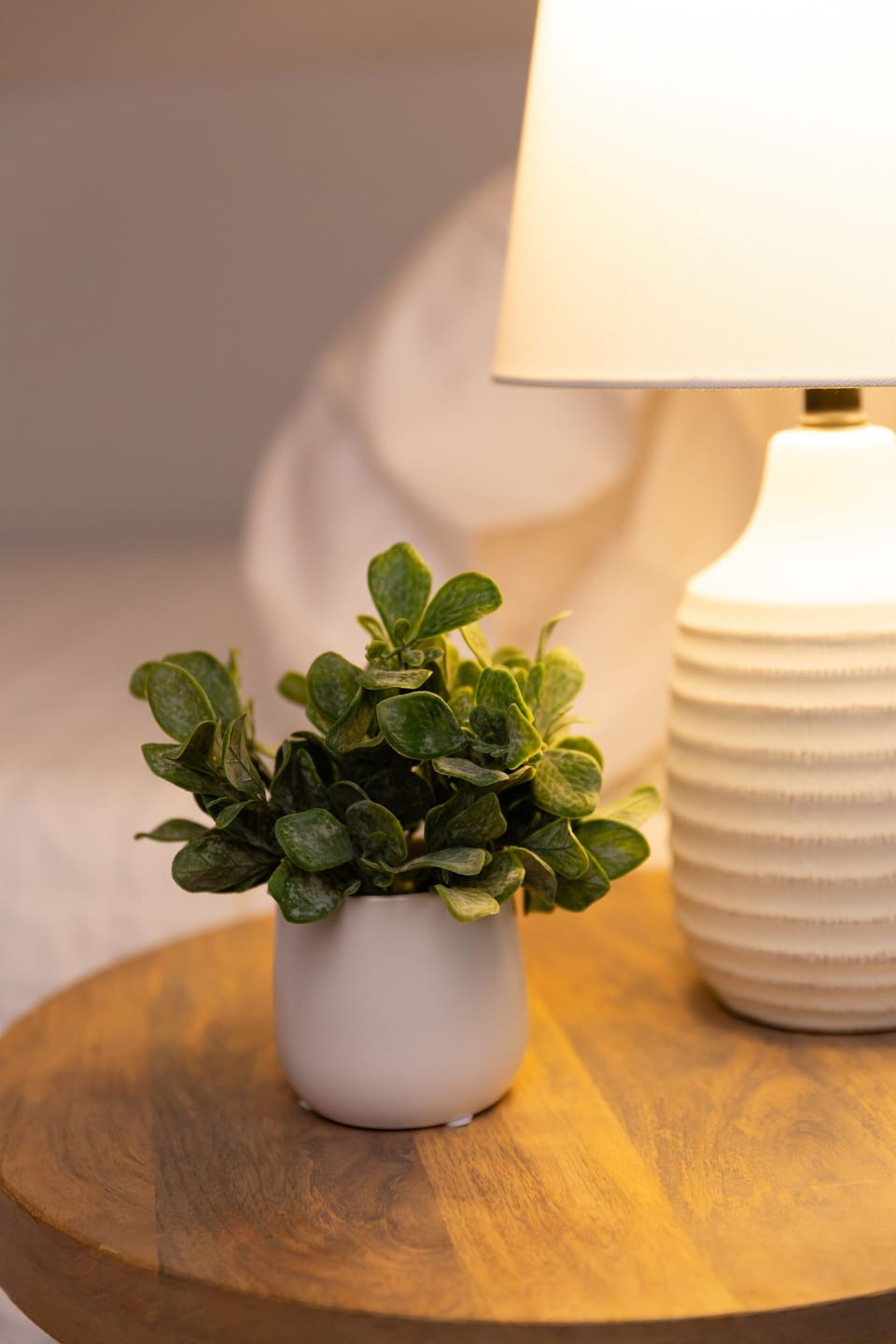 8ff64eb9-08cb-49a8-a216-f66ca4d673b8