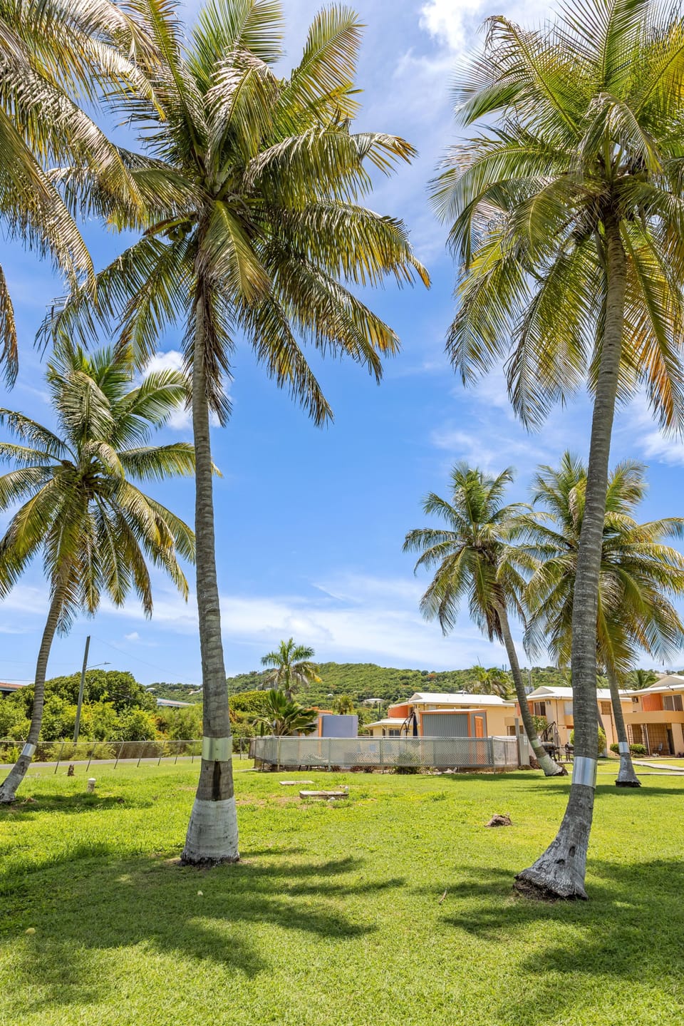 Condo, 1 Bedroom | Property grounds