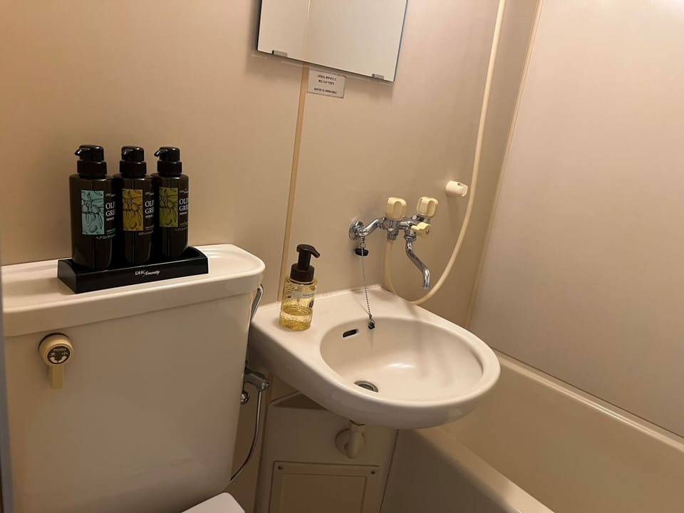 Separate tub and shower, free toiletries, hair dryer, slippers