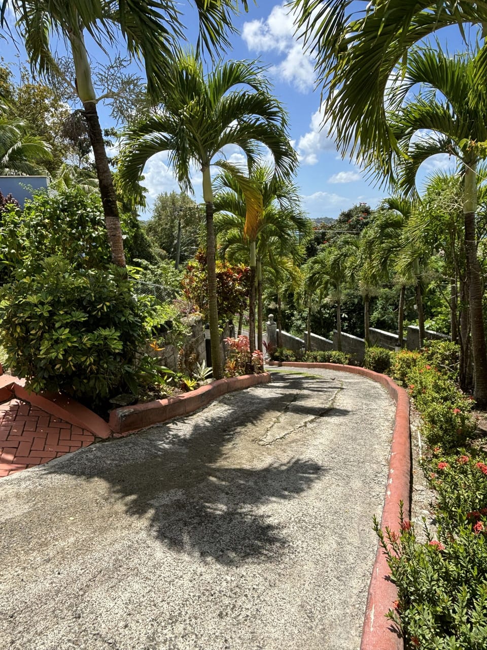 Driveway