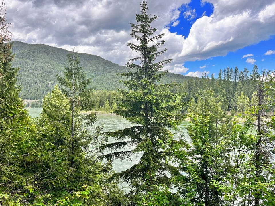 Views from the property