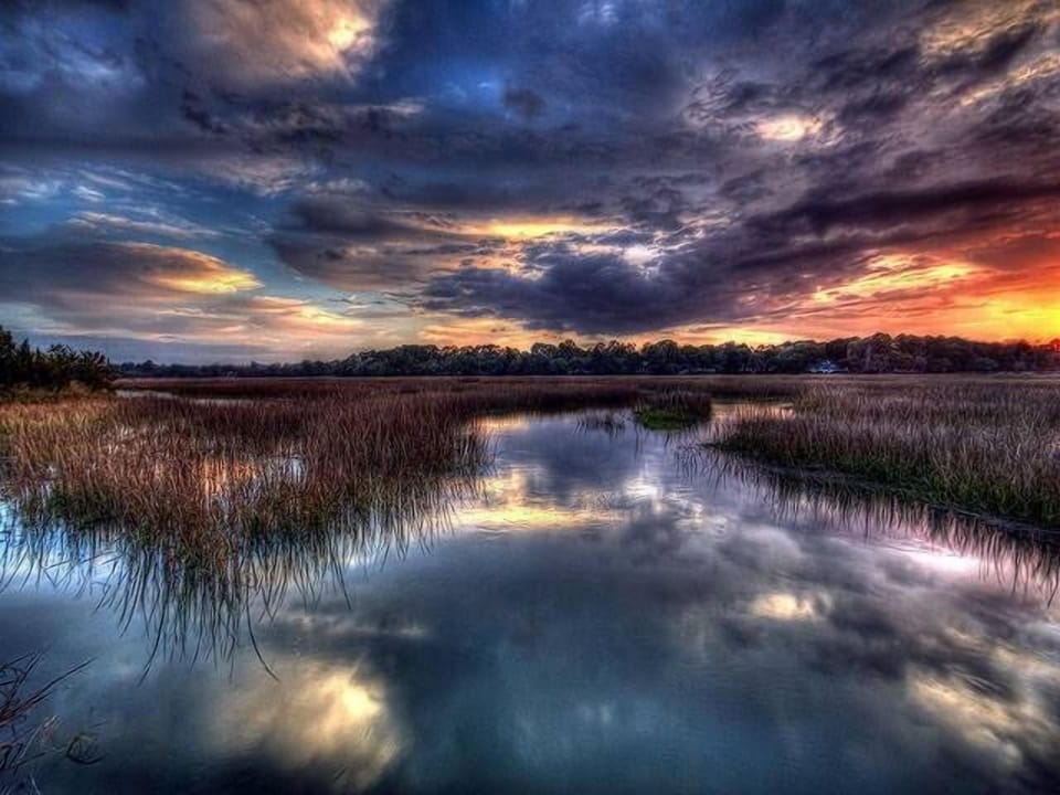 Hilton Head Lowcountry